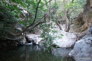ldaia del Drago25-07-2015 20-24-54